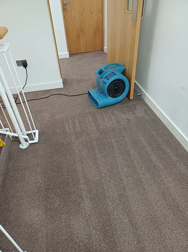 Blue air mover drying a freshly cleaned landing carpet