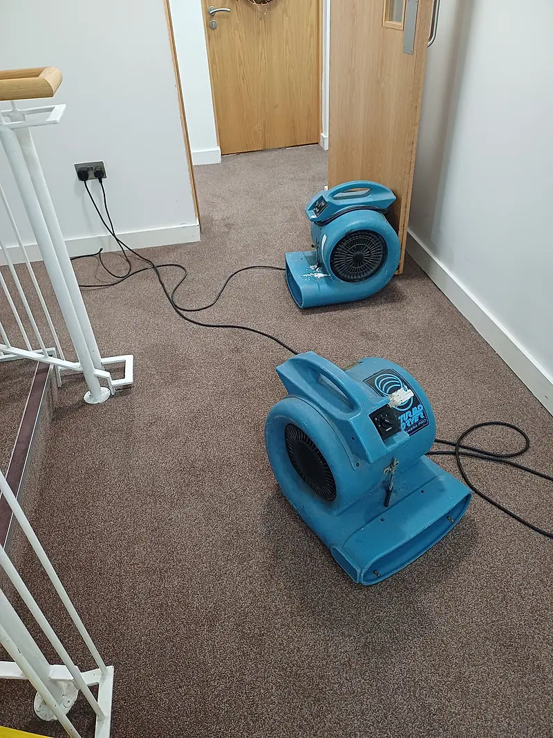 Two blue air movers speeding up drying on a cleaned landing carpet