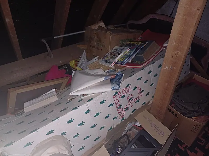 Cluttered attic with boxes and books under the rafters before clearance