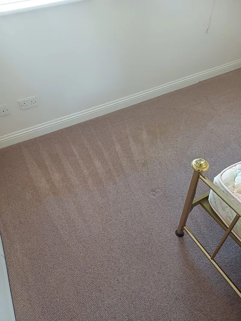Bedroom carpet with fresh, even wand strokes after cleaning