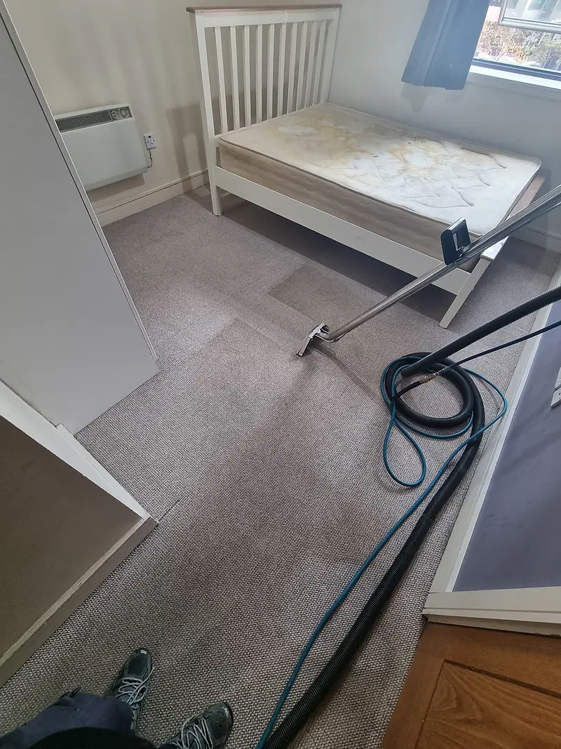 Carpet cleaning wand and hose in use in a bedroom
