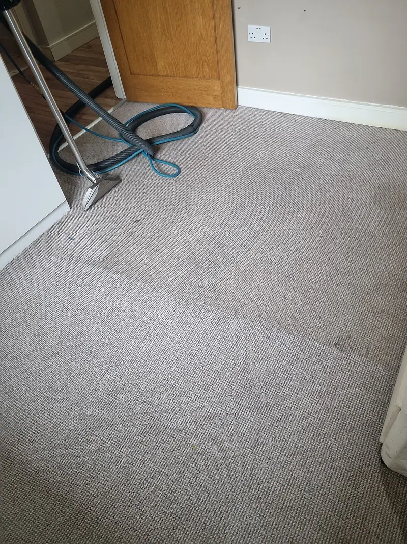 Bedroom carpet showing a sharp line between the cleaned and uncleaned sections