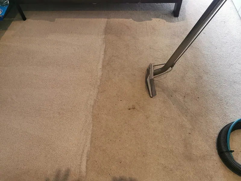 Cream carpet with a cleaned area beside the dirty carpet
