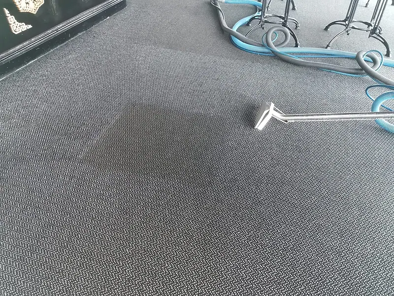 Grey carpet with a cleaned rectangle where the tool has worked