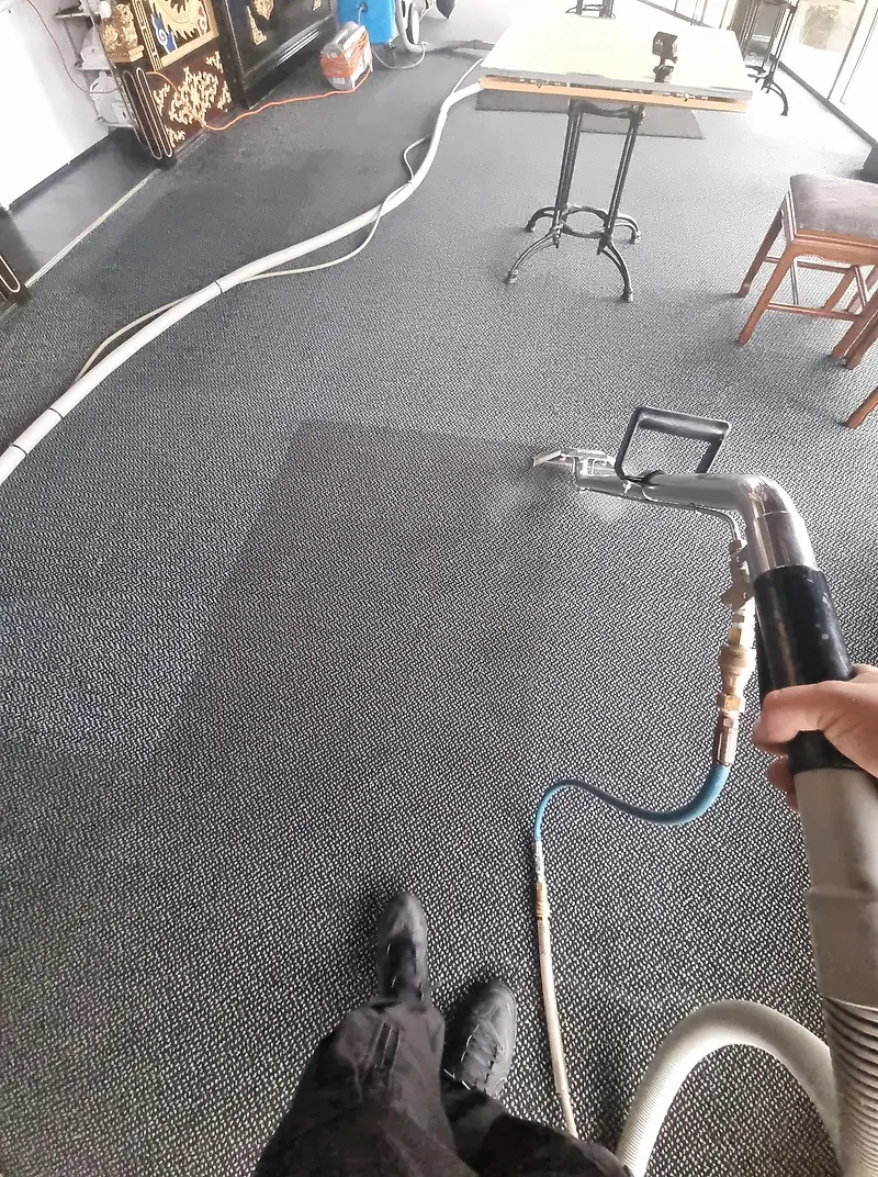Hand-held extraction tool cleaning a grey carpet, leaving a visibly cleaner strip
