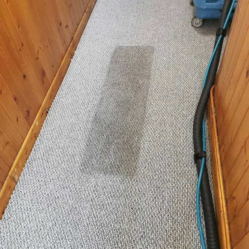 Landing carpet with a cleaned test patch showing the difference
