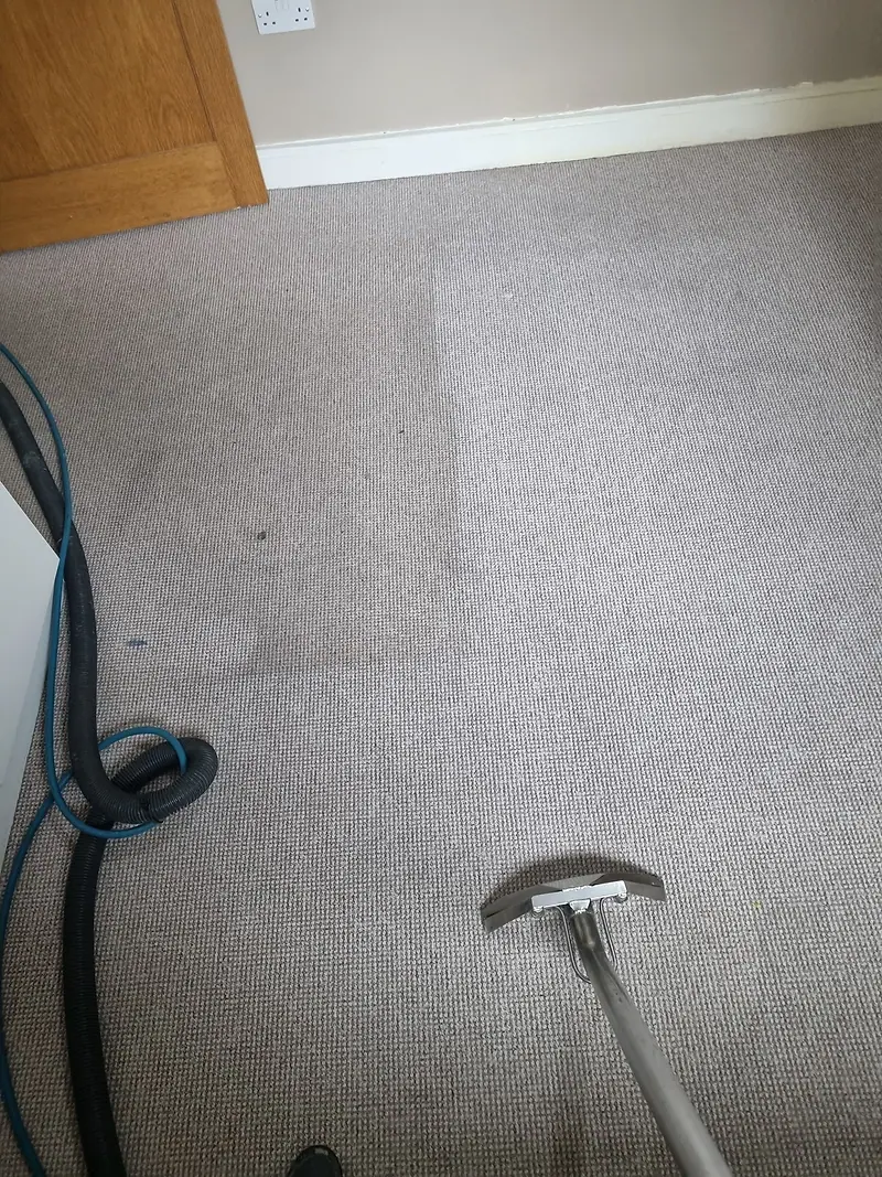 Extraction wand beside a clear clean-versus-dirty line on a grey carpet