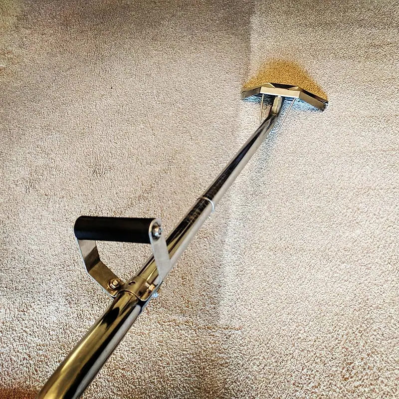 Extraction wand leaving a clean path across a dirty beige carpet