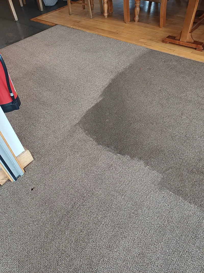 Commercial carpet mid-clean, with a sharp line between the cleaned and uncleaned sections