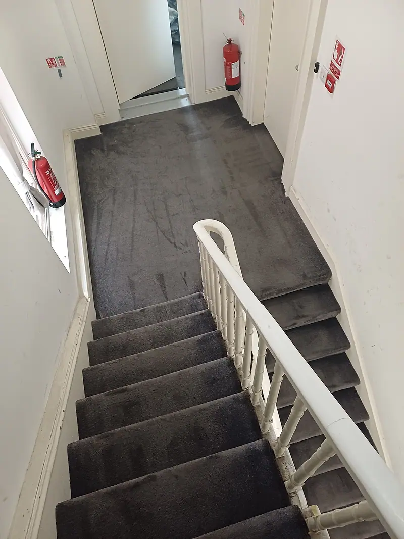 Communal stairwell with dark grey carpet showing fresh pile lines after cleaning