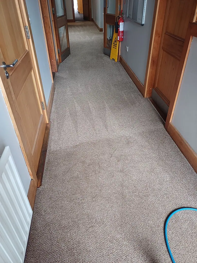 Long commercial corridor carpet showing fresh cleaning strokes, with the extraction hose in view