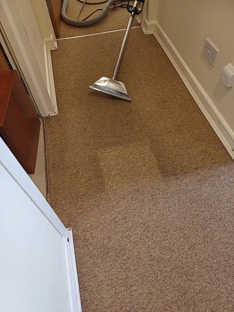 Extraction wand on a hallway carpet next to a visibly brighter freshly cleaned patch