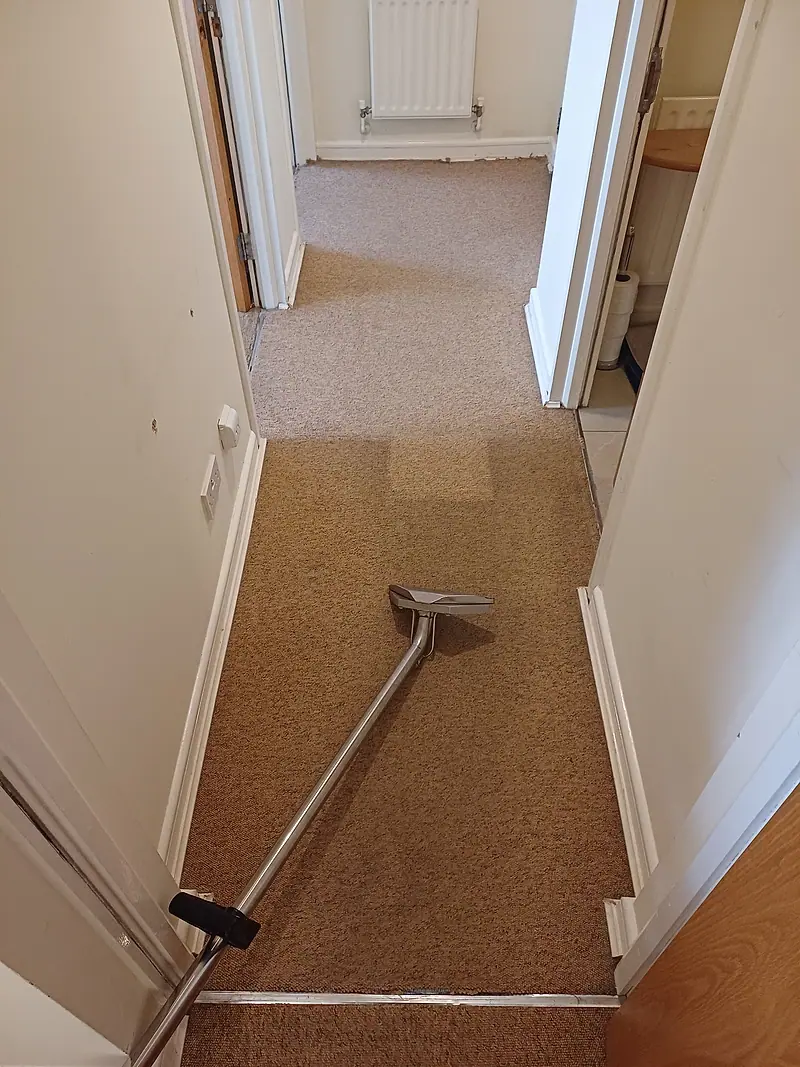 Narrow hallway carpet being cleaned with a stainless steel extraction wand