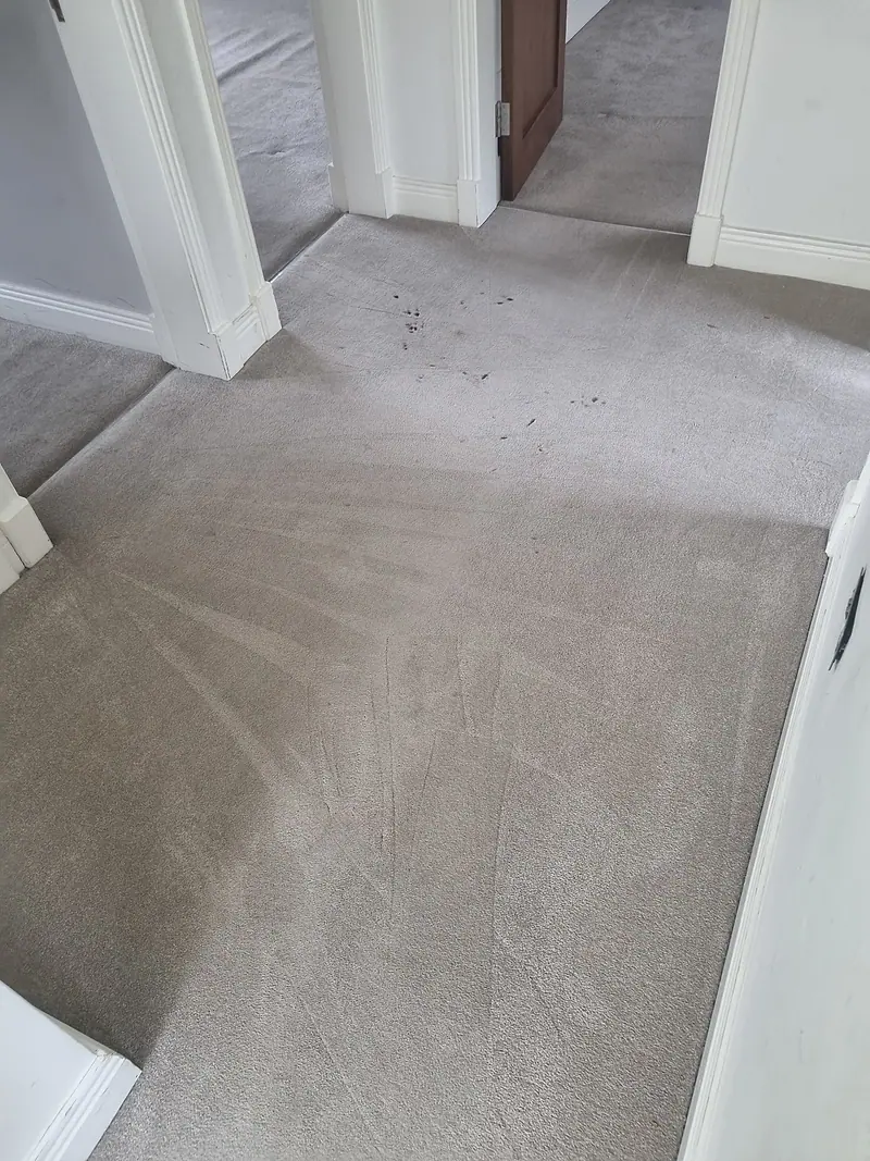 Landing carpet with fresh wand stripes after hot-water extraction