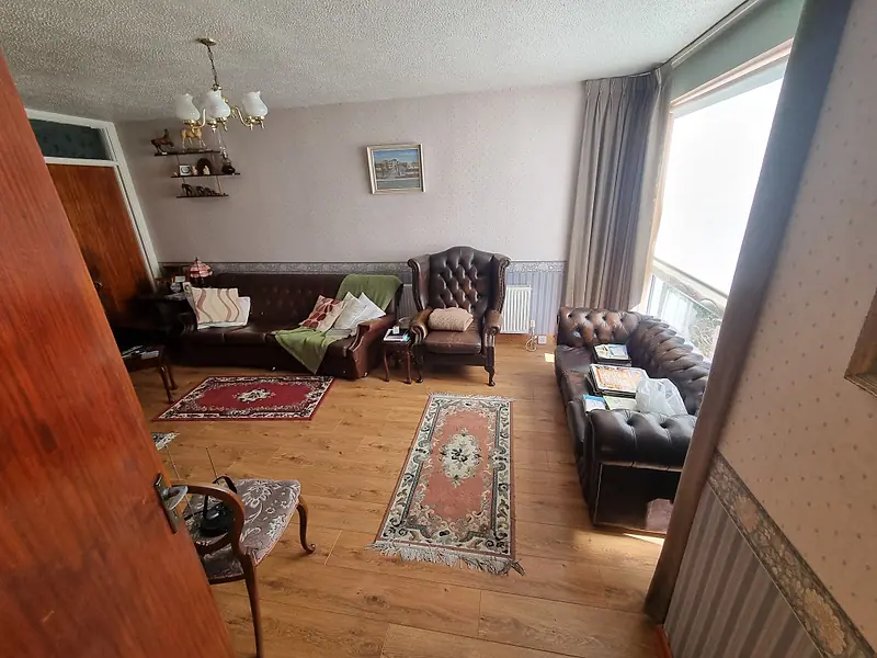 Living room with leather sofas and rugs before clearance