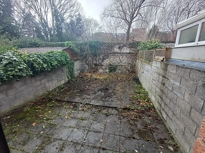 Mossy, leaf-covered paved back yard enclosed by block walls before cleaning