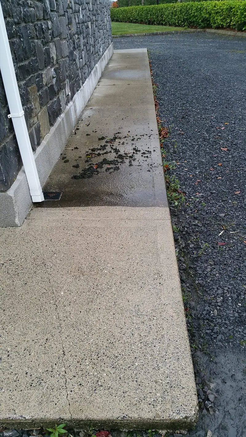 Concrete side path with algae and dirt lifting during cleaning