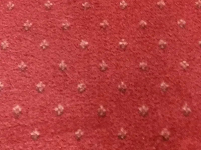 The same red hall carpet after hot-water extraction, its colour restored