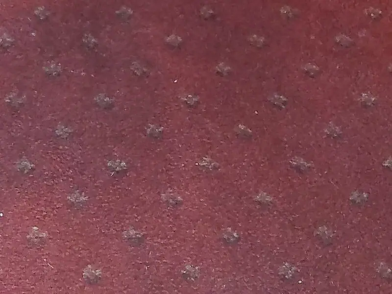 Close-up of a red hall carpet, dark and heavily soiled before cleaning