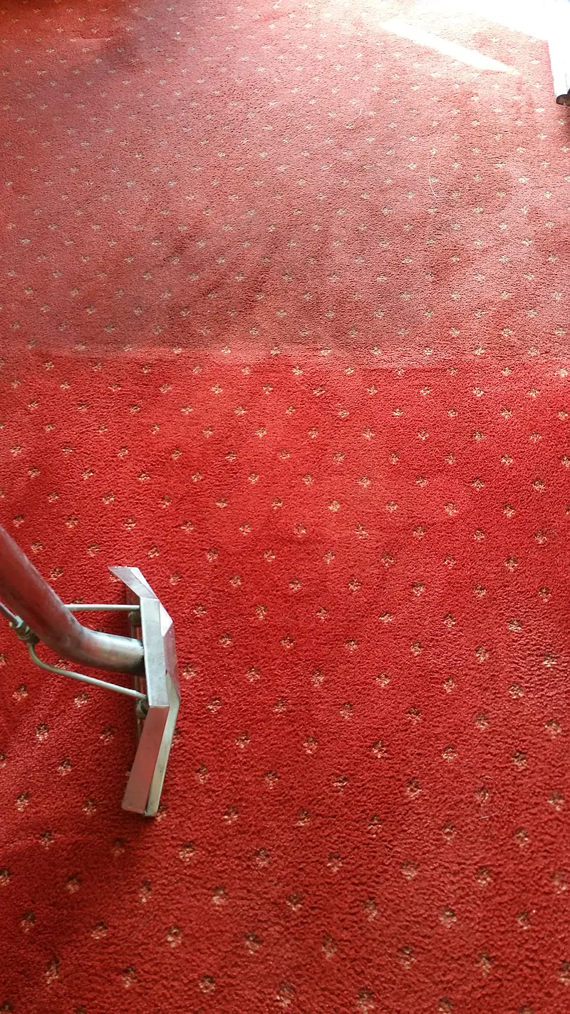 Red patterned hall carpet mid-clean, the soiled section above a sharp line and the cleaned section below