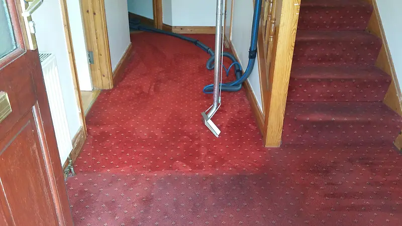 Red hall carpet mid-clean: the hall beyond is cleaned and bright, the strip by the front door still dark and soiled, with the extraction wand and hoses in view