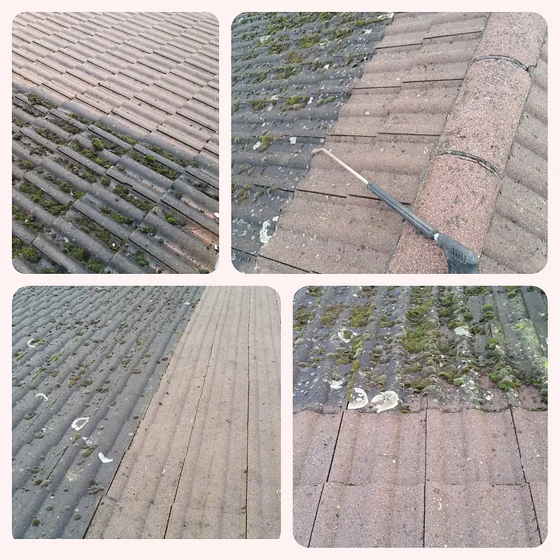 Four views of roof tiles before and after moss removal, the clean tiles bright beside the mossy ones