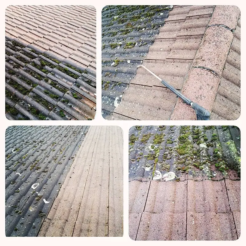 Roof tiles with moss before cleaning and the cleaned tiles afterwards