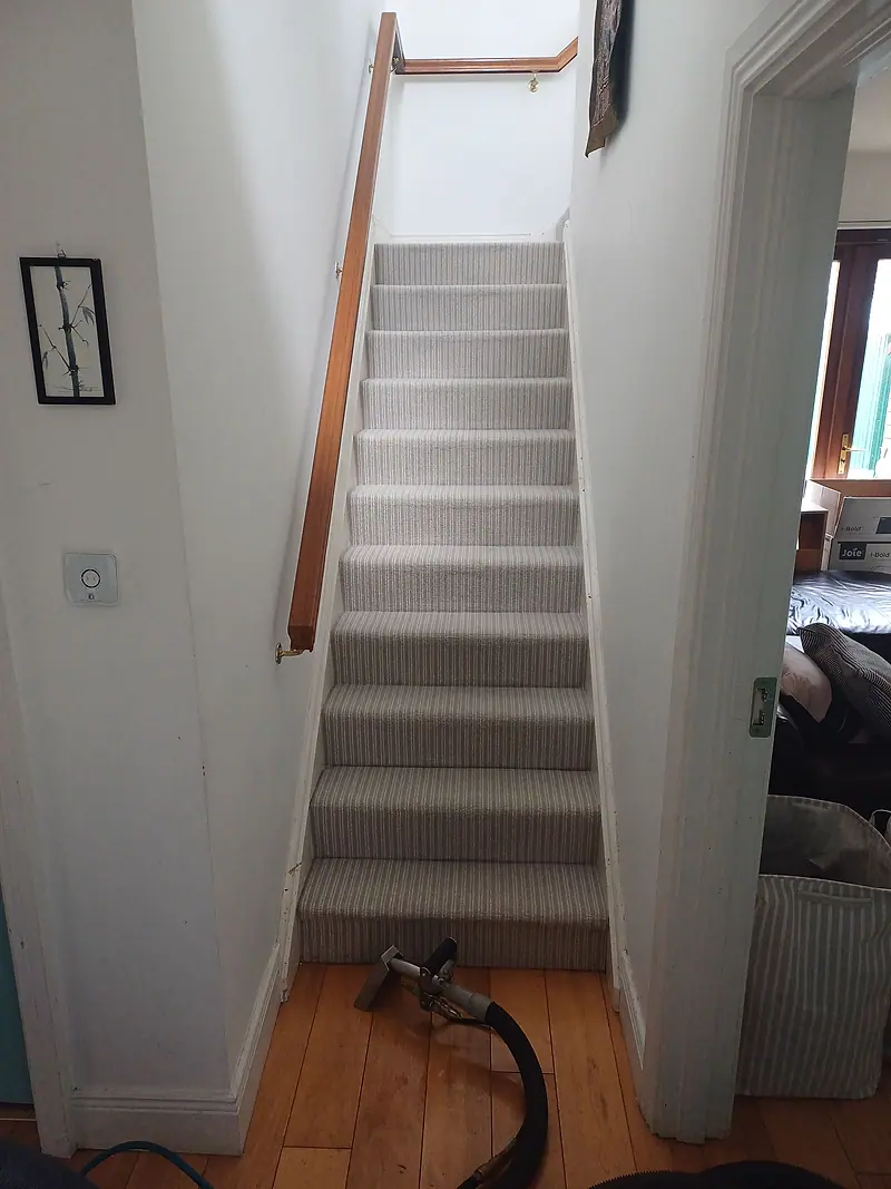 Narrow staircase with striped carpet and the extraction wand at the foot of the stairs