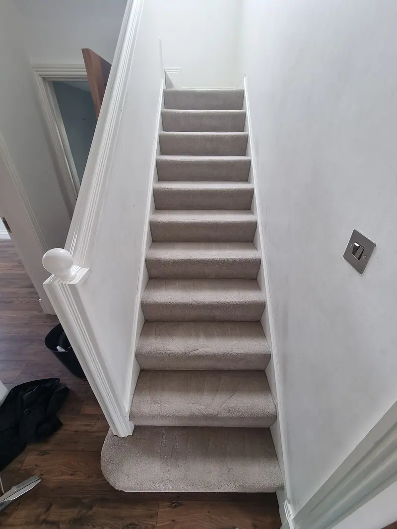 Freshly cleaned carpeted staircase in a bright hallway