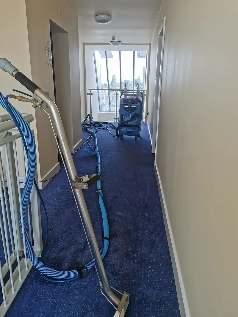 Landing carpet being cleaned with an extraction wand and hoses